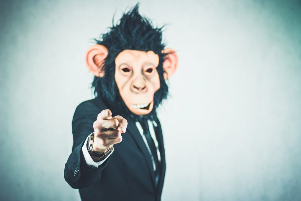 ape, application, training-2710657.jpg